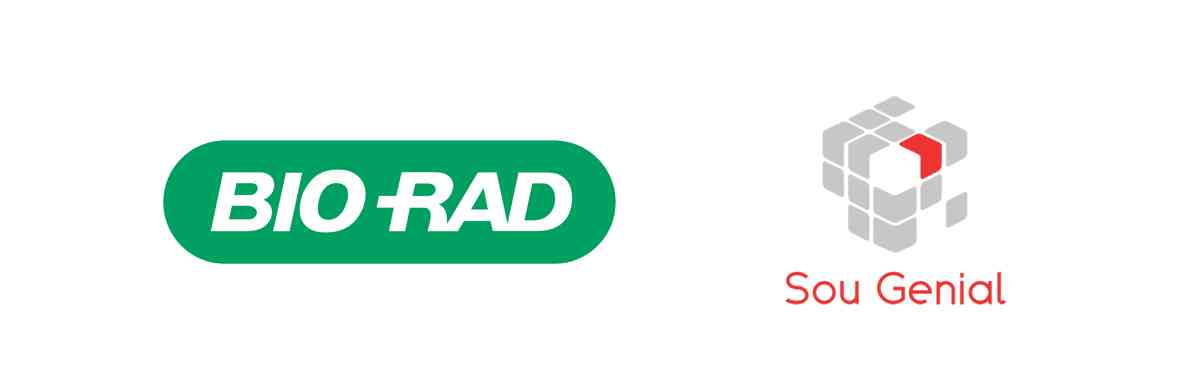 Logotipo Informe de Mercado